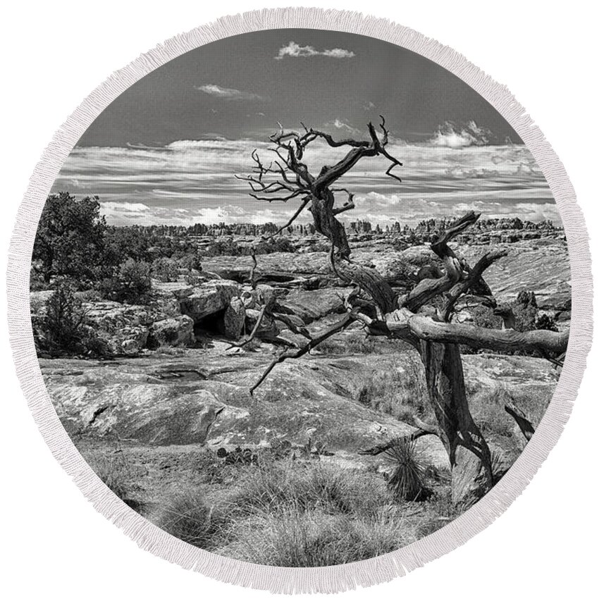 Canyonlands National Park Round Beach Towel featuring the photograph Textures and Twists by Art Cole