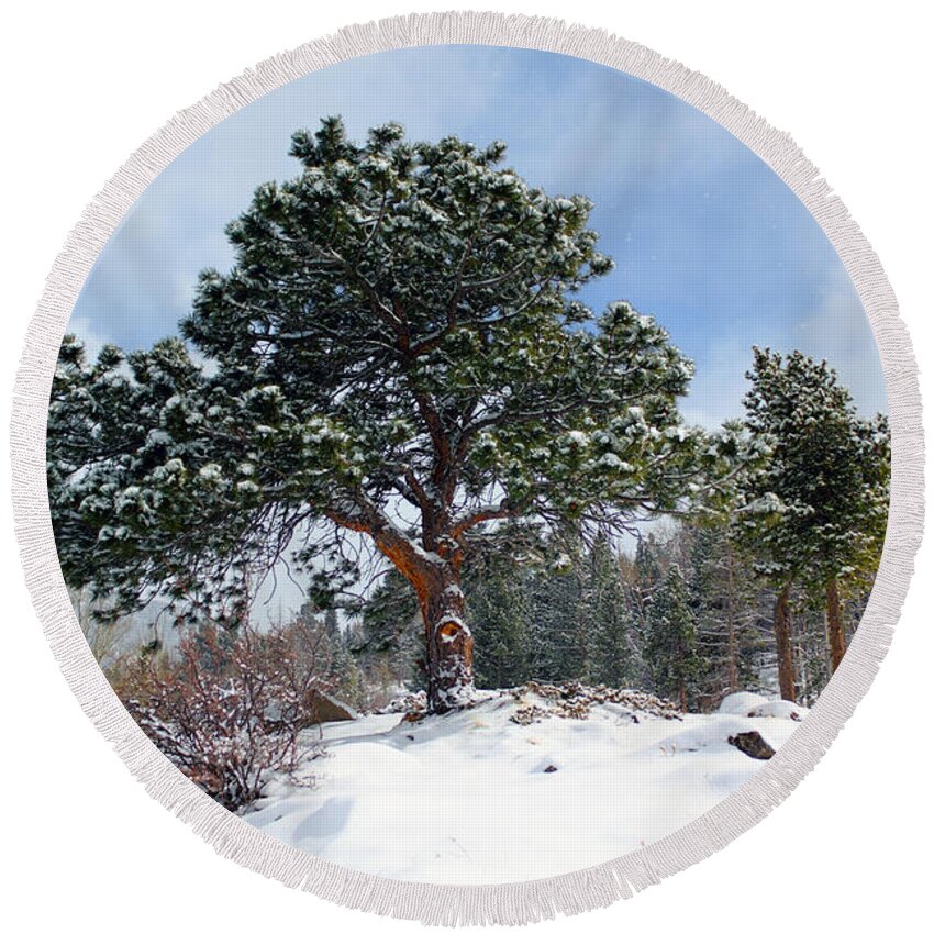Snow Round Beach Towel featuring the photograph A Fresh Blanket Of Snow by Shane Bechler