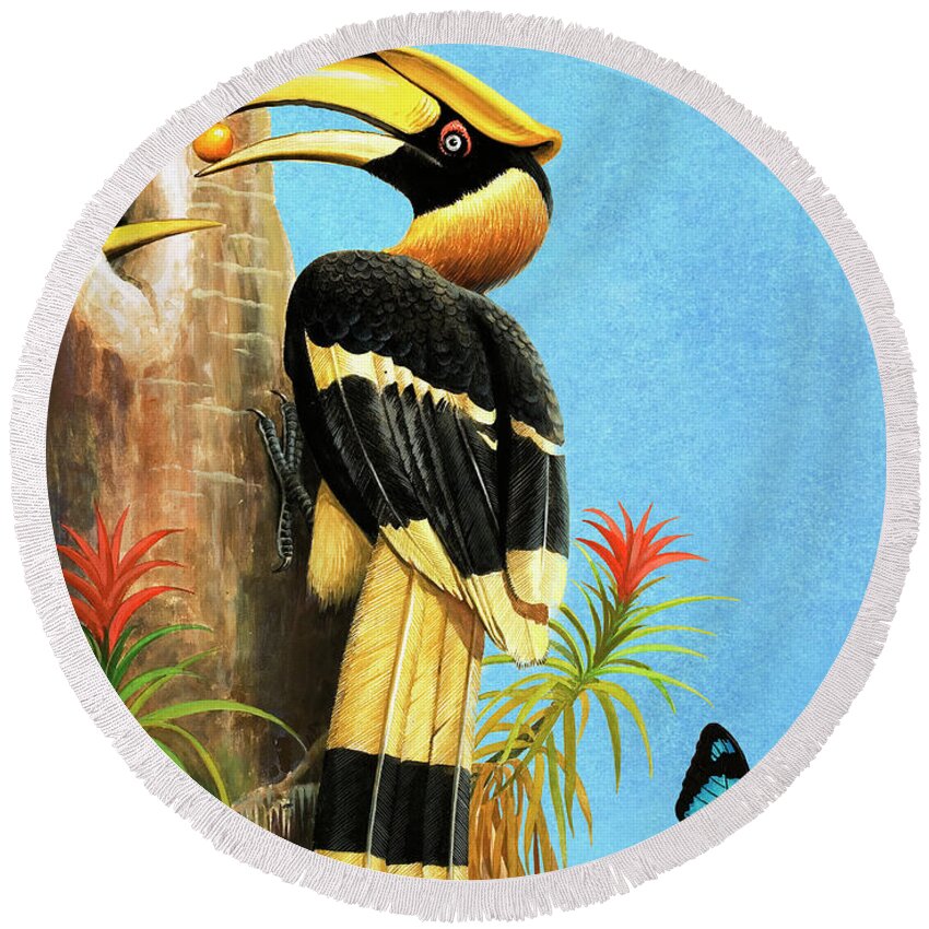 Hornbill Round Beach Towel featuring the painting A Hornbill by RB Davis