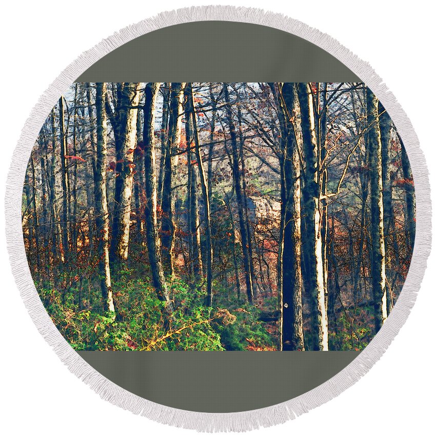 Nature Round Beach Towel featuring the photograph A late Autumn Walk in the Woods by Stacie Siemsen