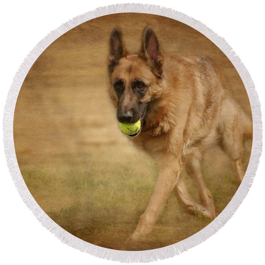 German Shepherd Dogs Round Beach Towel featuring the photograph A Little Playtime - German Shepherd Dog by Angie Tirado