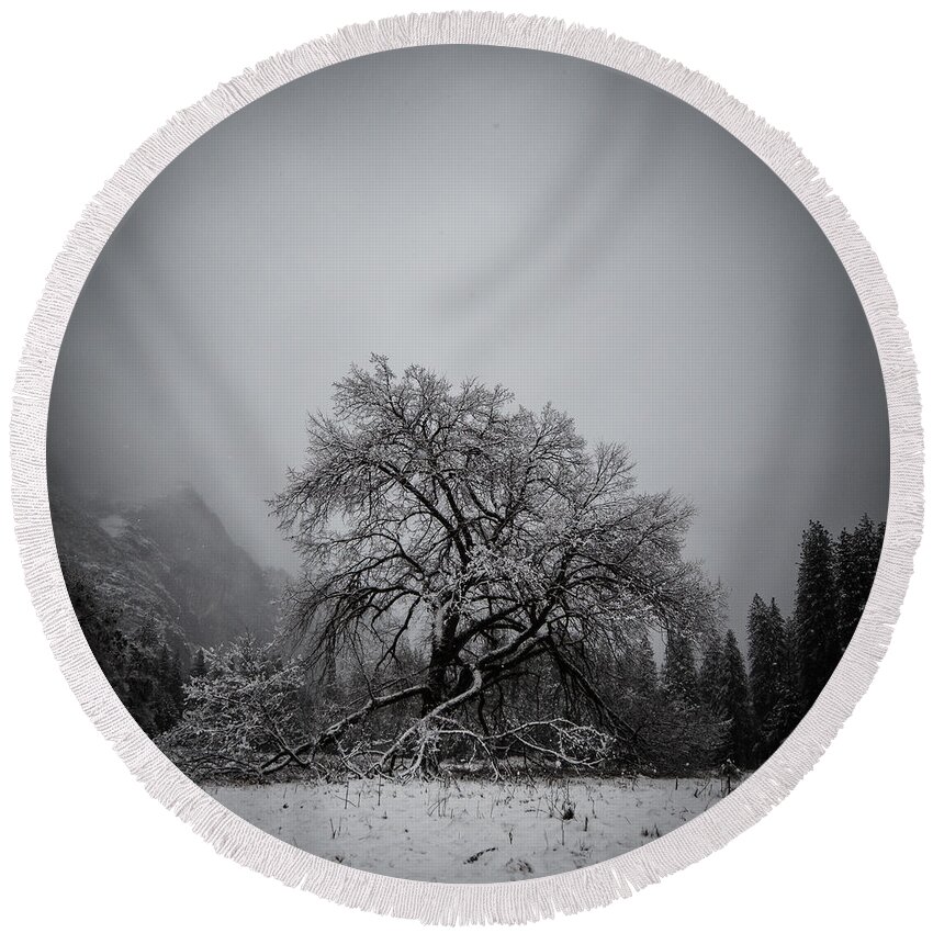 Tree Round Beach Towel featuring the photograph A magic tree by Lora Lee Chapman