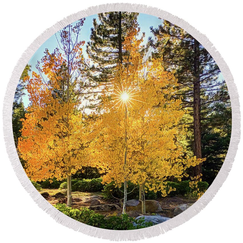 Autumn Round Beach Towel featuring the photograph Aspen Colors by Maria Coulson