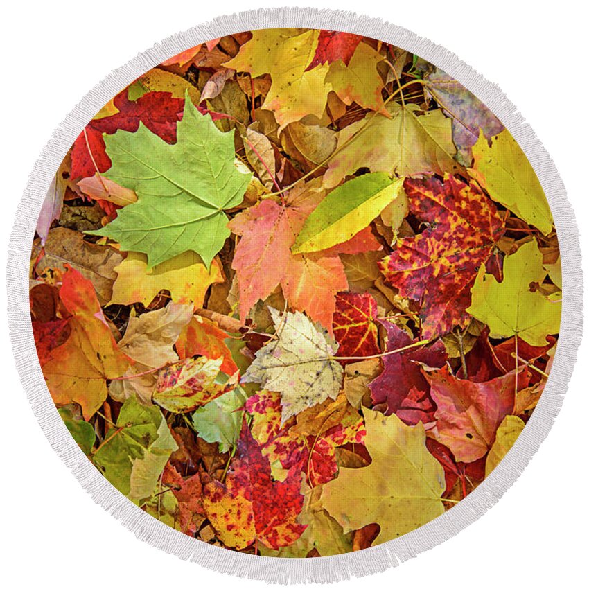 Maine Round Beach Towel featuring the photograph A Medley of Leaves by Alana Ranney