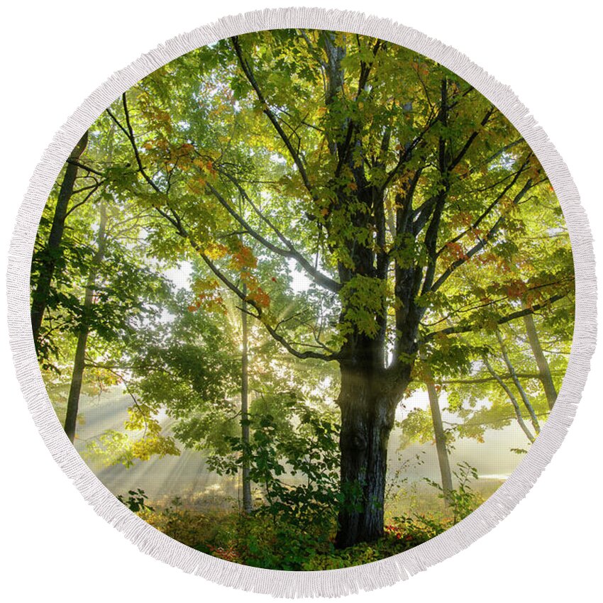 Misty Round Beach Towel featuring the photograph A Misty Fall Morning by Alana Ranney