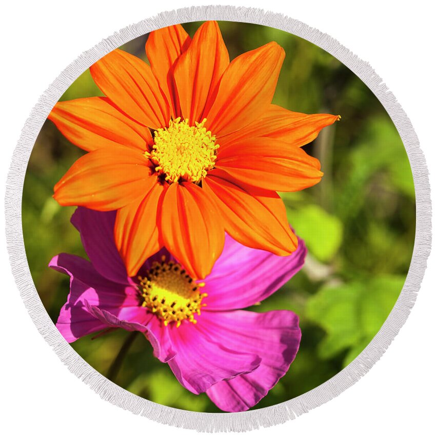 Mexican Sunflower Round Beach Towel featuring the photograph A Pair Of Flowers 2017 by Thomas Young
