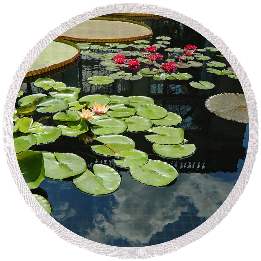 Pond Round Beach Towel featuring the photograph A Pond Of Beauty by Emmy Marie Vickers