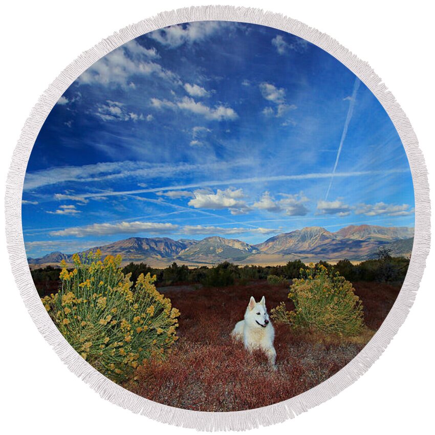 Sekani Round Beach Towel featuring the photograph A Portrait In Nature by Sean Sarsfield