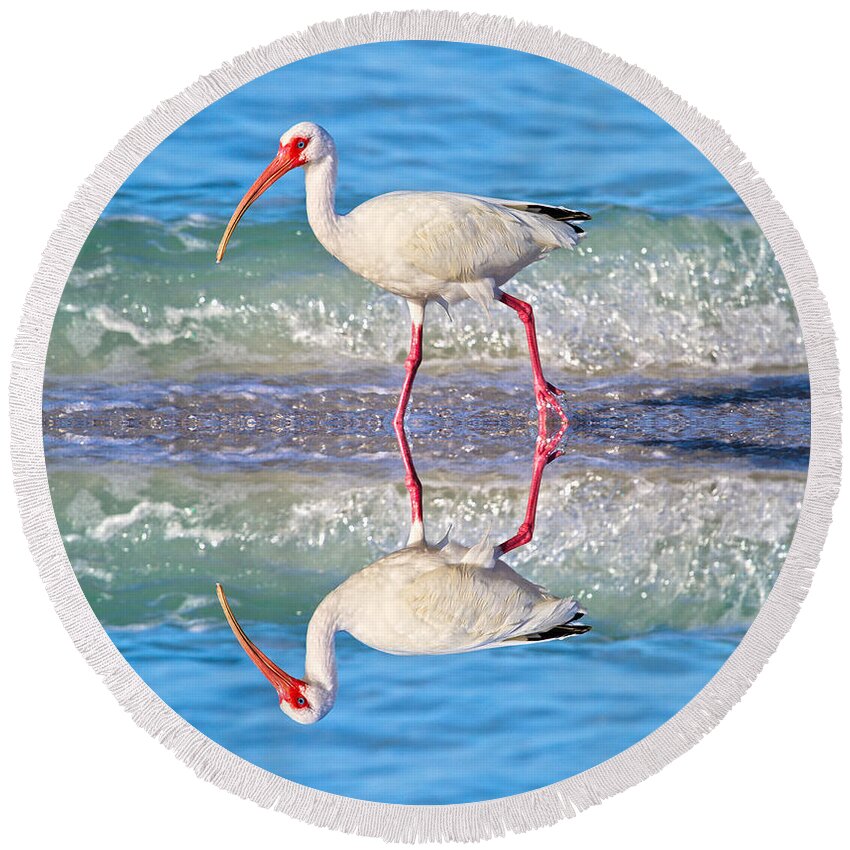 Ibis Round Beach Towel featuring the photograph A Reflective Walk by Betsy Knapp