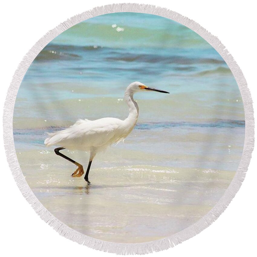 Egret Round Beach Towel featuring the photograph A Snowy Egret (egretta Thula) At Mahoe by John Edwards