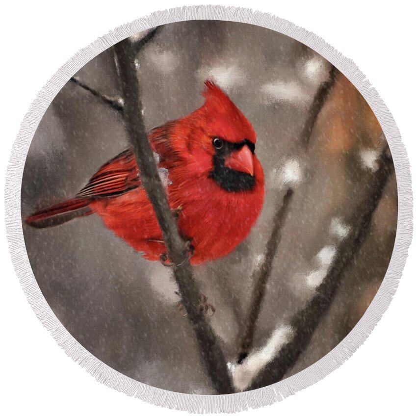 Cardinal Round Beach Towel featuring the digital art A Spot Of Color by Lois Bryan