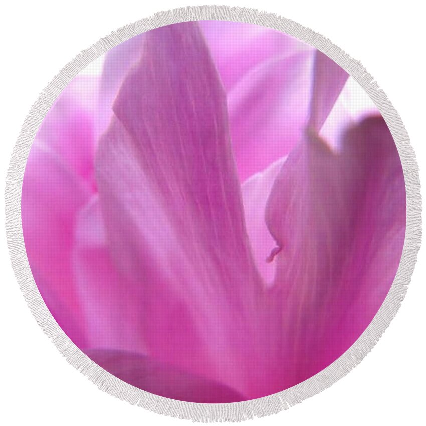 Flower Round Beach Towel featuring the photograph A Study in Pink by Rhonda Barrett