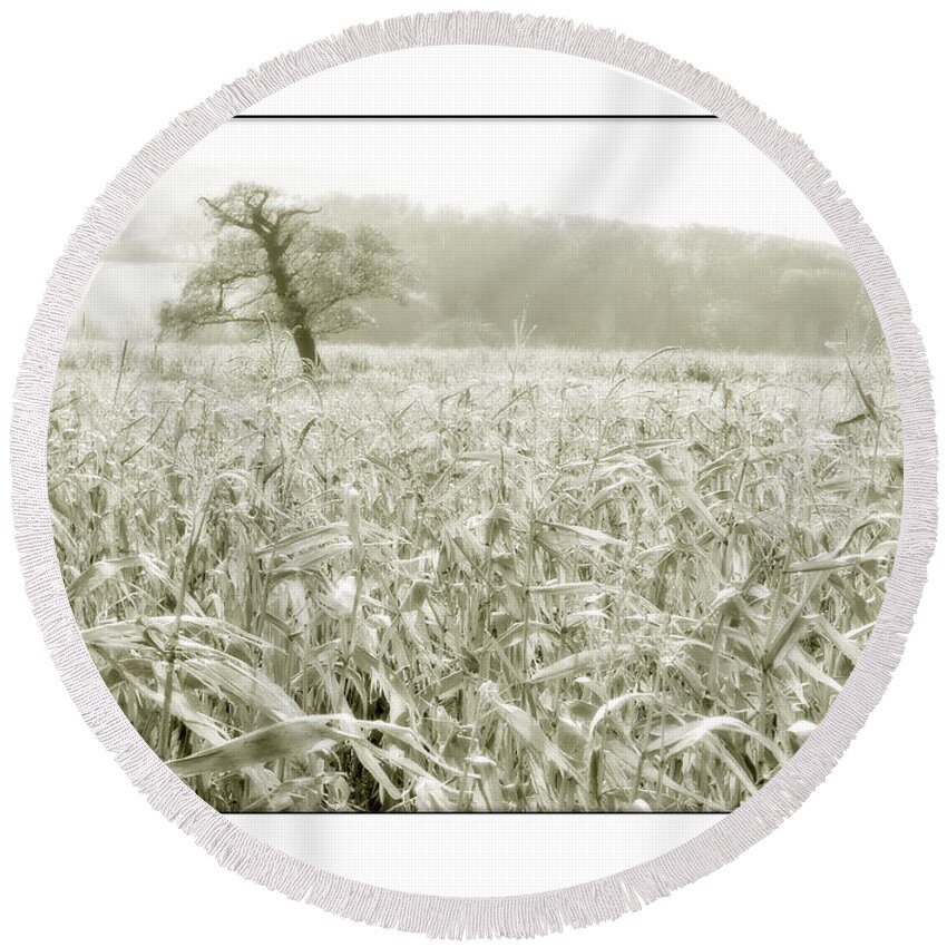 Tree Round Beach Towel featuring the photograph A Tree in a Cornfield by Mal Bray