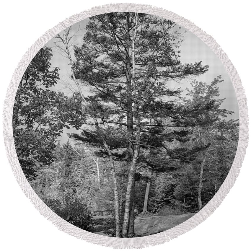 Grafton Notch Round Beach Towel featuring the photograph A Tree in the Rocks by Guy Whiteley