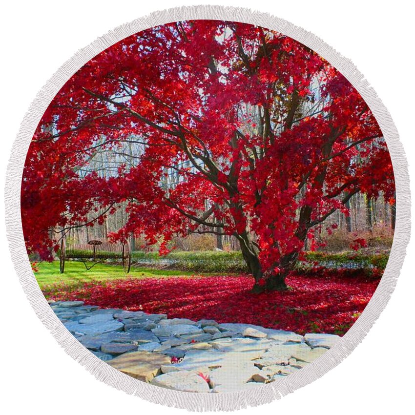  Round Beach Towel featuring the photograph A Tree's Red Skirt by Polly Castor