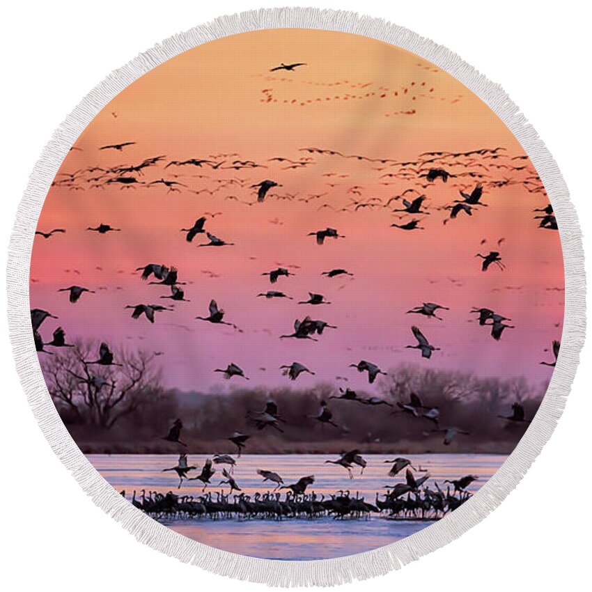 Sandhill Cranes Round Beach Towel featuring the photograph A Vibrant Evening by Susan Rissi Tregoning