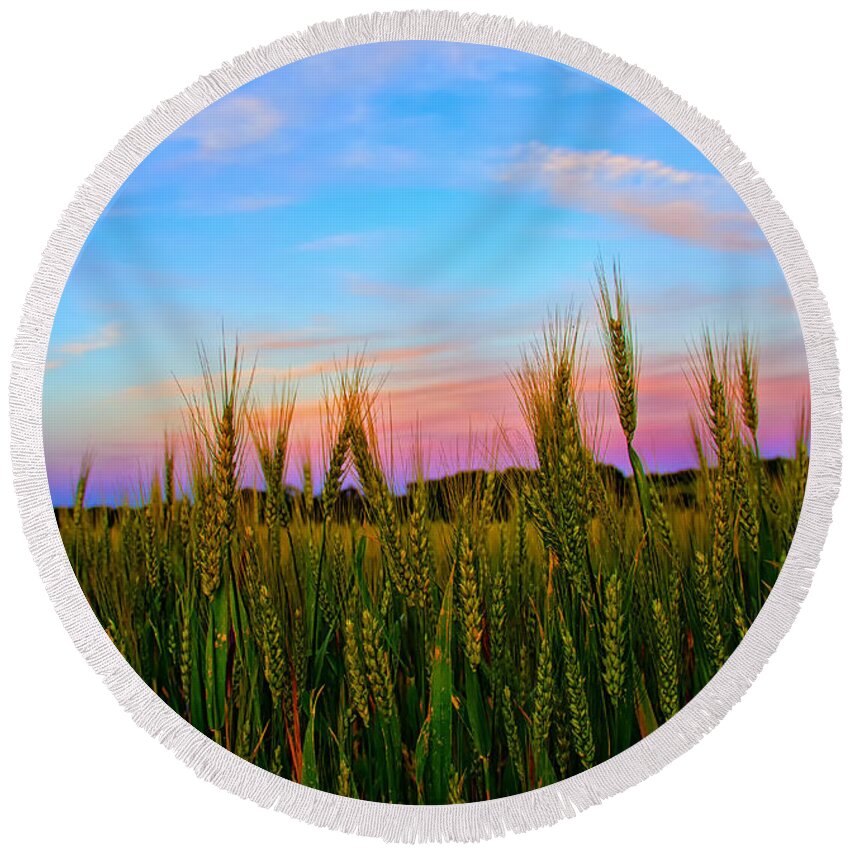 Wheat Round Beach Towel featuring the photograph A View from Crop Level by Bill and Linda Tiepelman
