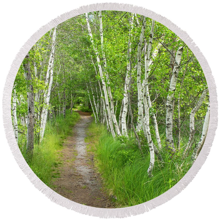 Acadia National Park Round Beach Towel featuring the photograph A Walk in the Woods by Holly Ross