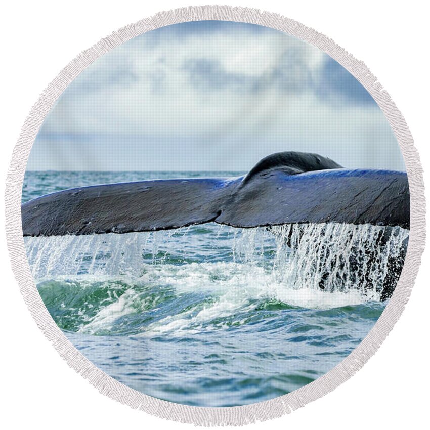 Alaska Round Beach Towel featuring the photograph A Whale's Tail by Roberta Kayne