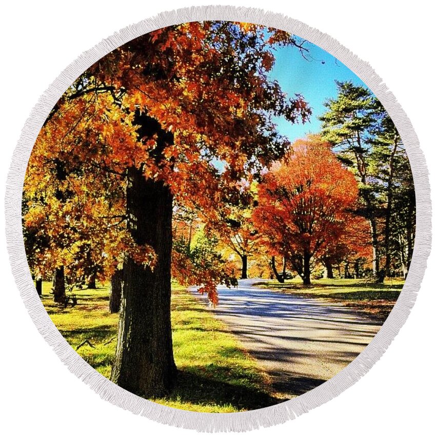 Acceptance Round Beach Towel featuring the photograph About Autumn by Nick Heap