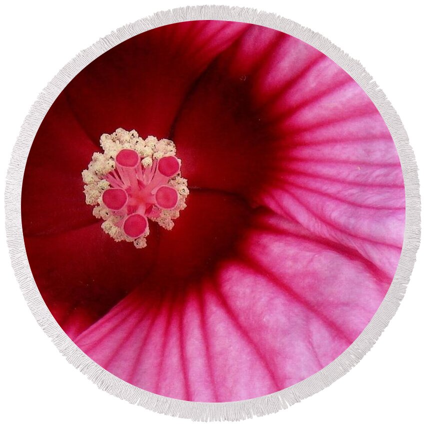 Flowers Round Beach Towel featuring the photograph Hardly Inhibited Hibiscus by Lori Lafargue