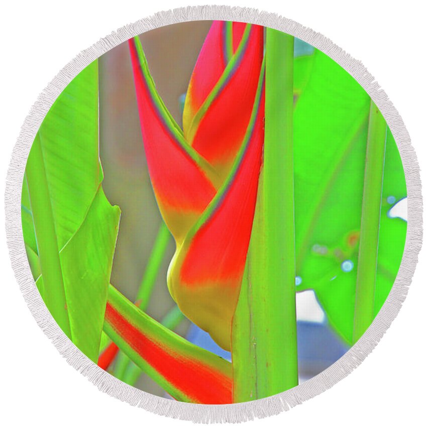 Abstract Tropical Flowers And Leaves Greens Reds Angles  Round Beach Towel featuring the photograph Abstract Tropical Flowers and Leaves Greens Reds Angles 2 10232017 Colorado by David Frederick