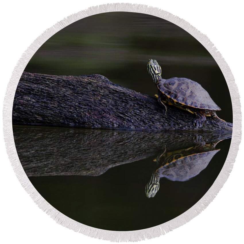 Water Round Beach Towel featuring the photograph Abstract Turtle by Douglas Stucky