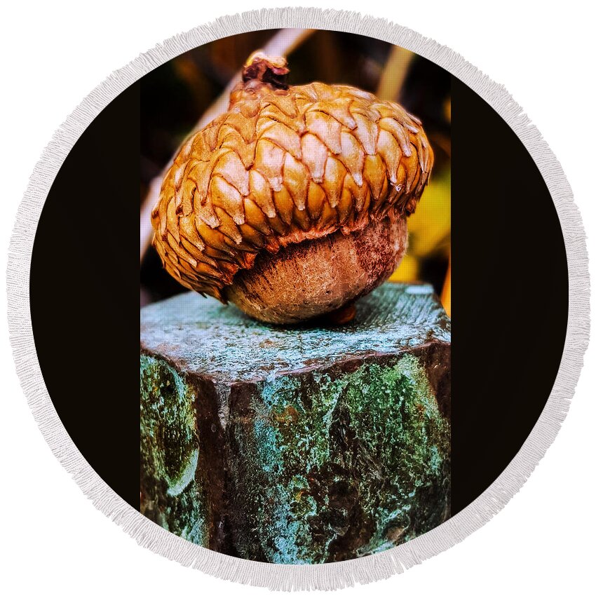 Acorn Round Beach Towel featuring the photograph Acorn by Bruce Carpenter