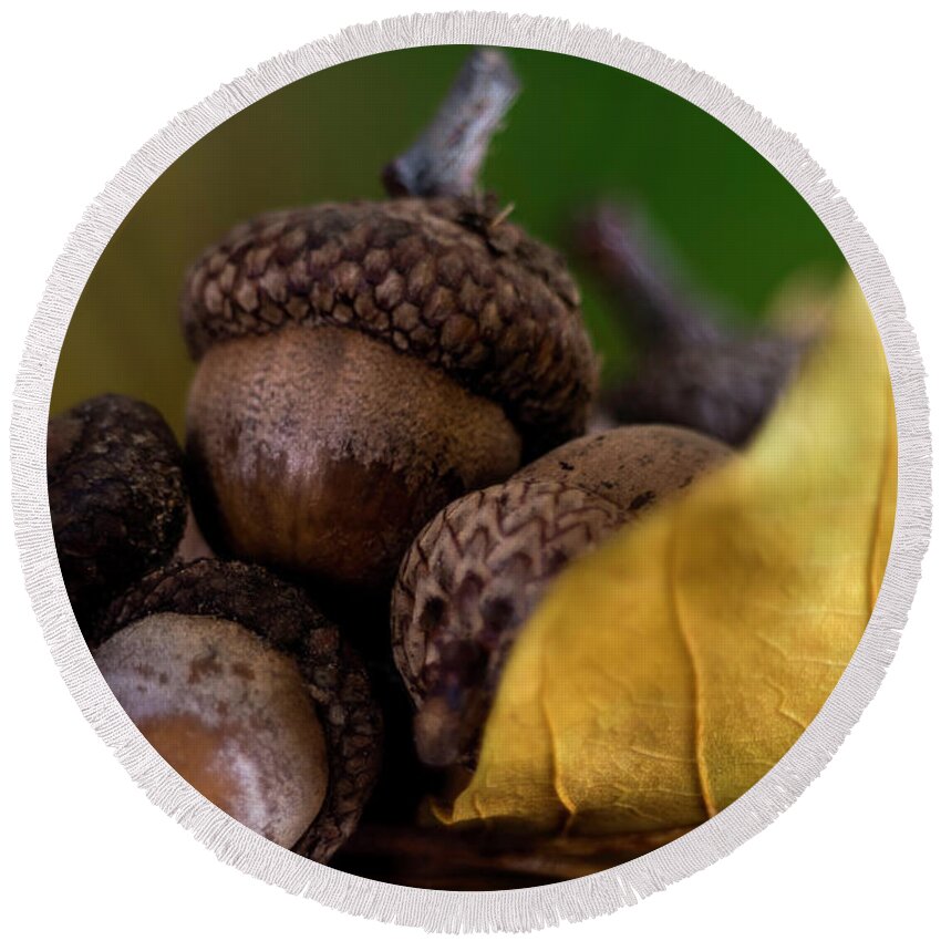 Wostphoto Round Beach Towel featuring the photograph Acorns in fall by Wolfgang Stocker