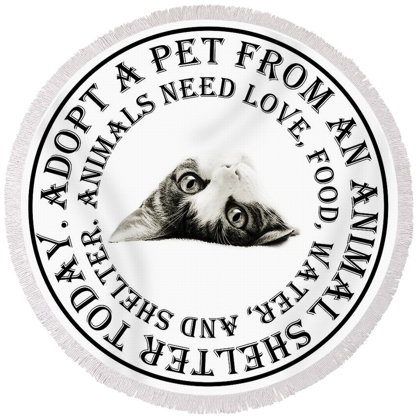 Andee Design Cat Round Beach Towel featuring the photograph Adopt A Pet T-Shirt Design by Andee Design