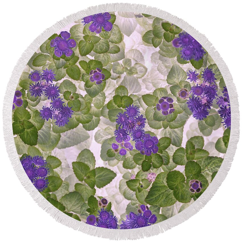 Flowers Round Beach Towel featuring the photograph Ageratum by Ann Jacobson