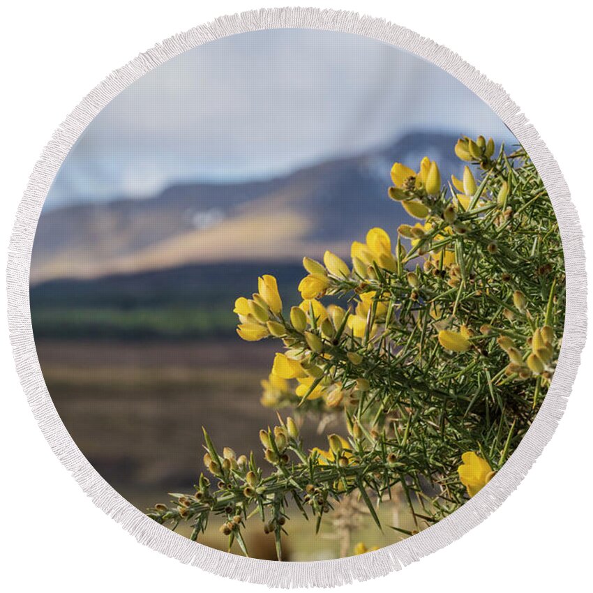 Gorse Round Beach Towel featuring the photograph Alba by Holly Ross