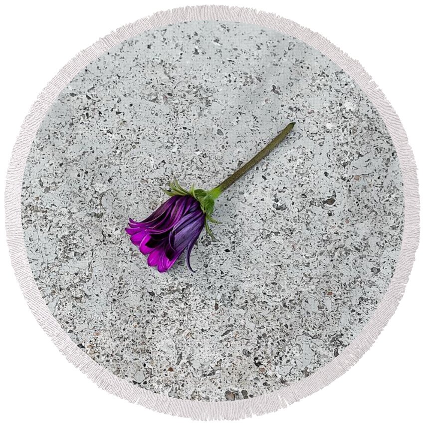 Flower Round Beach Towel featuring the photograph Alone by Alison Frank