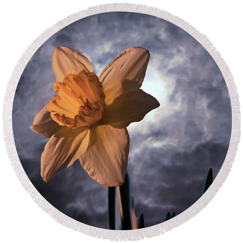 Daffodil; Flower; Yellow: Stormy; Stormy Sky: Round Beach Towel featuring the photograph Alone by Roseann Errigo