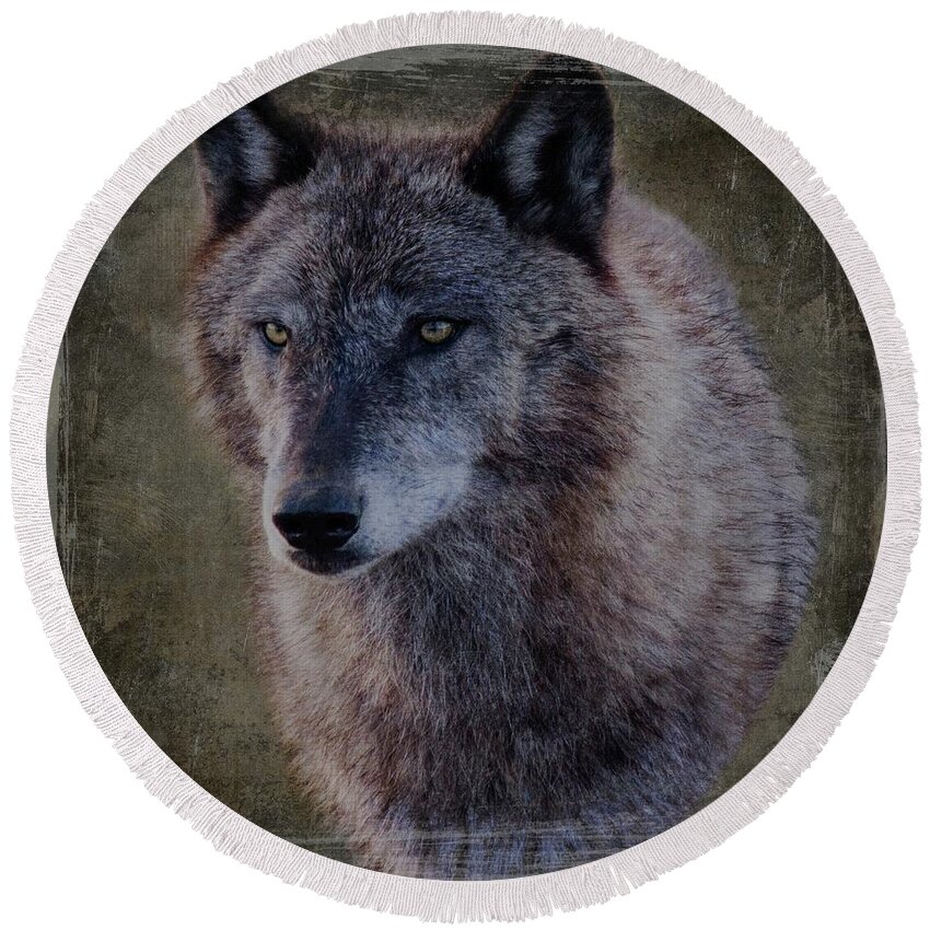 Mammal Round Beach Towel featuring the photograph Alpha Wolf Portrait by Teresa Wilson