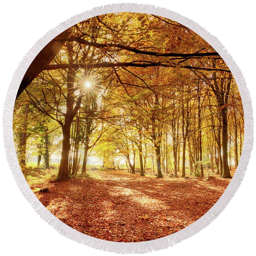 Woodland Round Beach Towel featuring the photograph Amazing forest colours in autumn fall by Simon Bratt