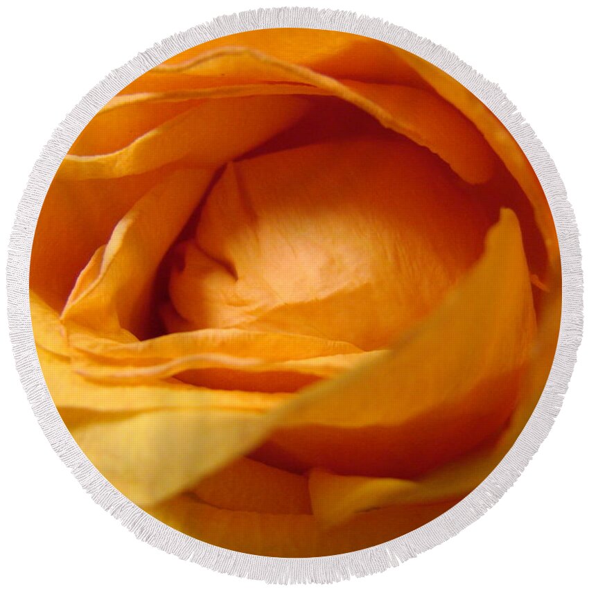 Yellow Round Beach Towel featuring the photograph Amber's Rose by Mary Halpin