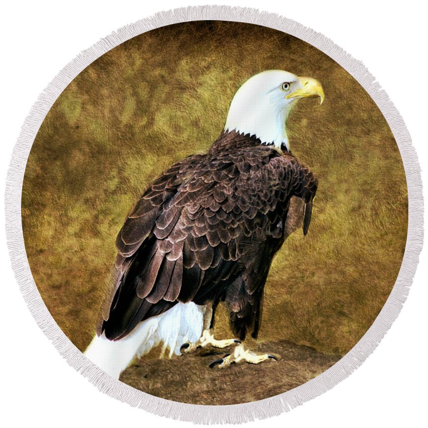 American Bald Eagle Round Beach Towel featuring the photograph American Bald Eagle by Judy Palkimas