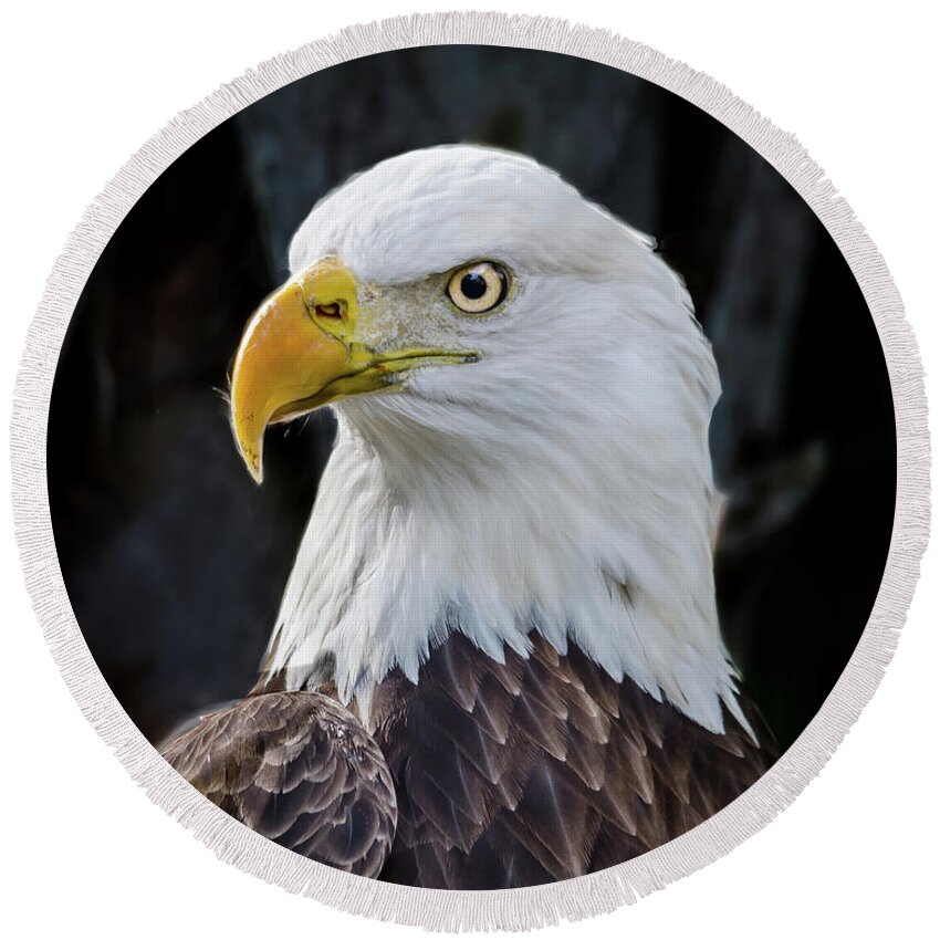 American Eagle Round Beach Towel featuring the photograph American Eagle by Jaime Mercado