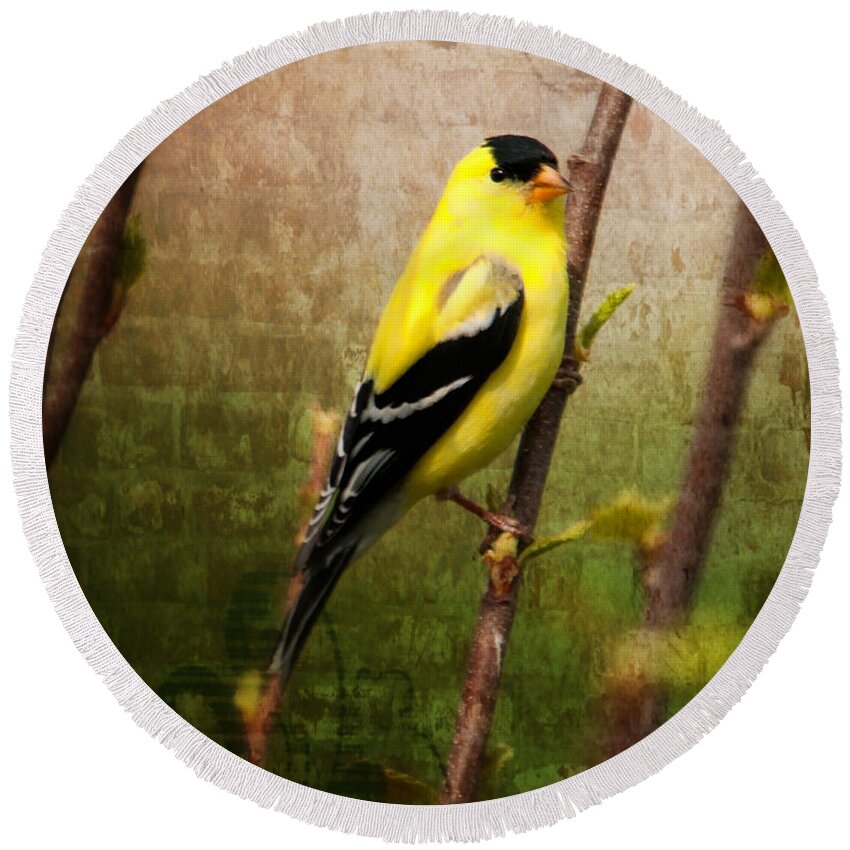 American Goldfinch Round Beach Towel featuring the photograph American Goldfinch by Al Mueller