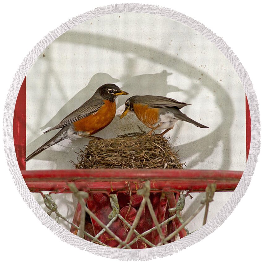 Robin Round Beach Towel featuring the photograph American Robin Pair At Nest by Kenneth M. Highfill