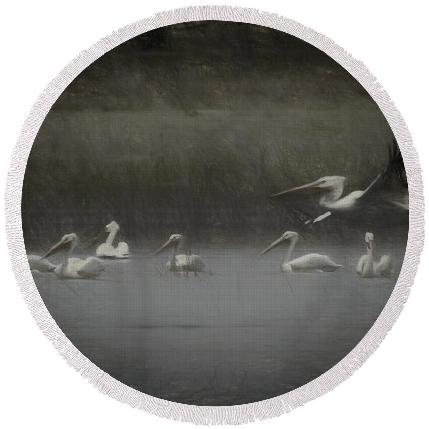 American White Pelican Round Beach Towel featuring the digital art American White Pelicans Da by Ernest Echols