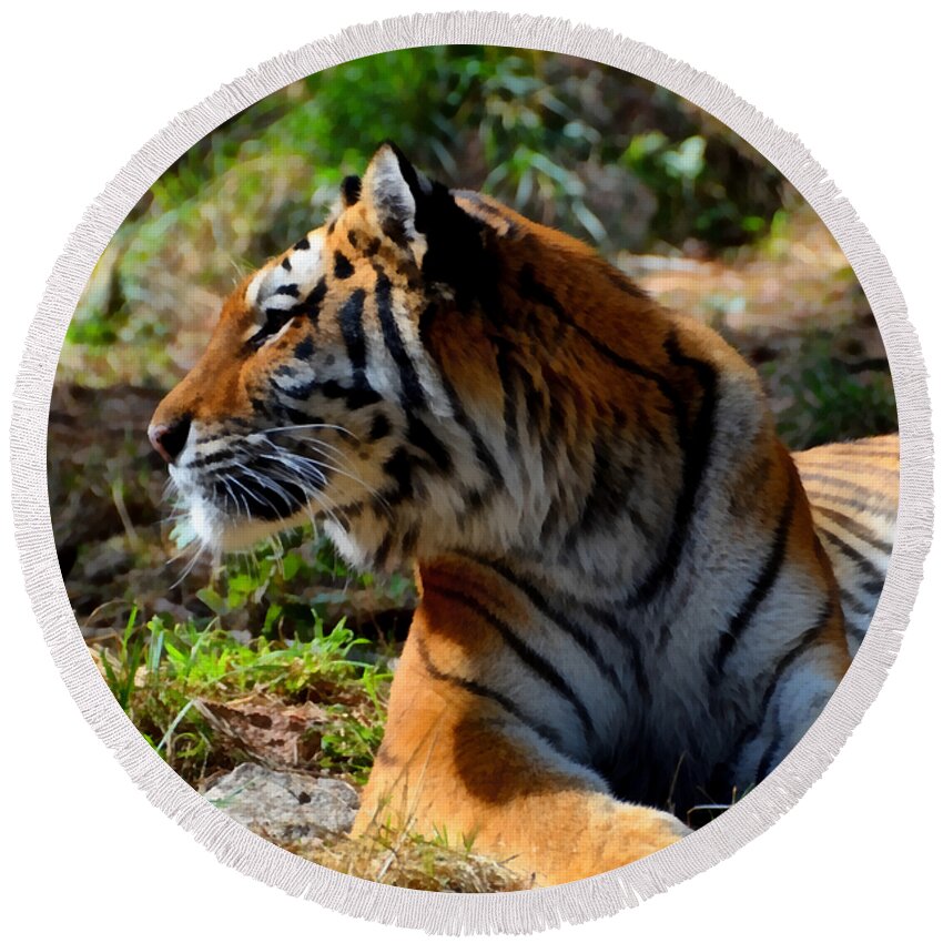 Amur Round Beach Towel featuring the mixed media Amur Tiger 9 by Angelina Tamez