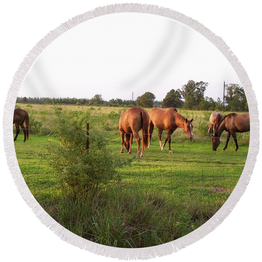 Horse Round Beach Towel featuring the photograph An Afternoon With Friends by Brandy Woods