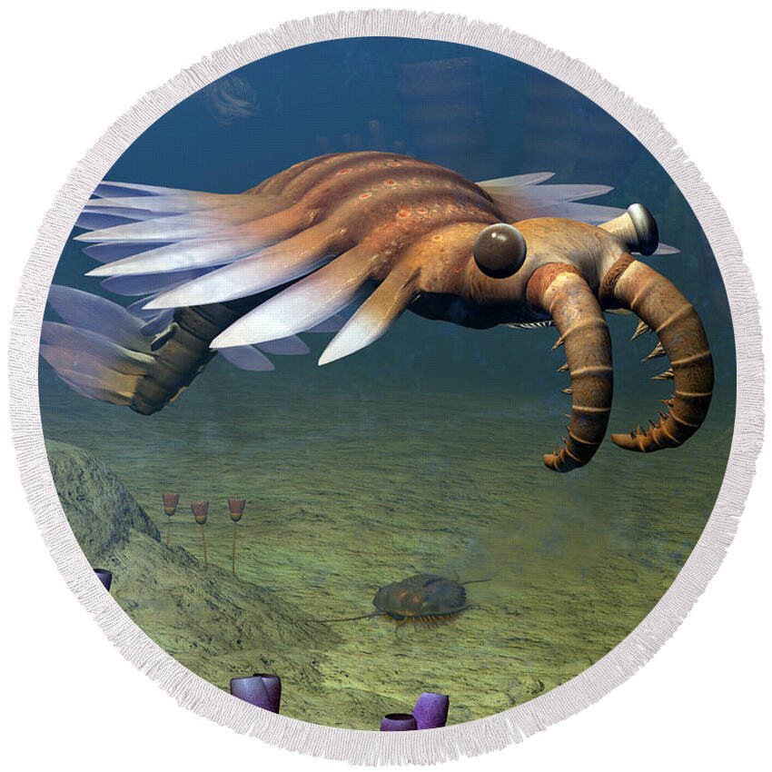 Natural History Round Beach Towel featuring the digital art An Anomalocaris Explores A Middle by Walter Myers