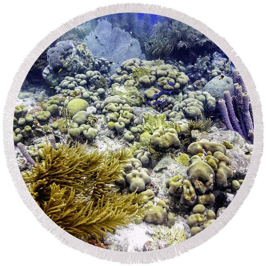 Sea Rod Corals Round Beach Towel featuring the photograph An Explosion of Life II by Perla Copernik