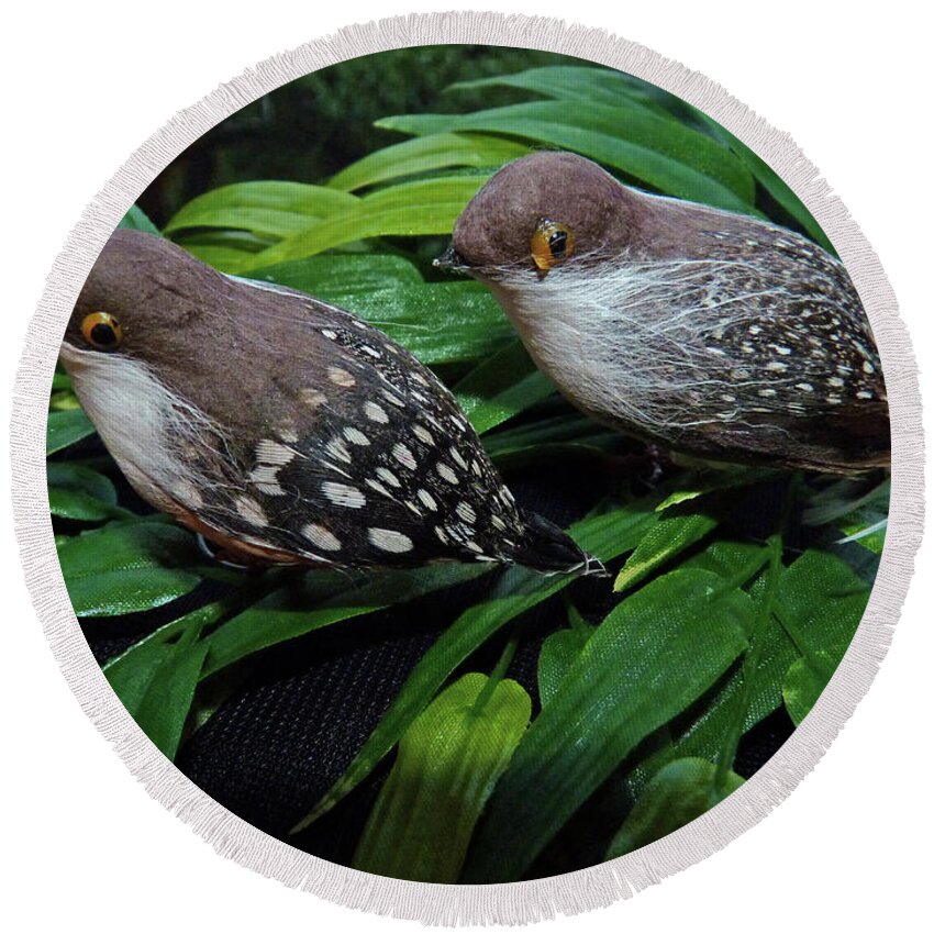 Couple Round Beach Towel featuring the photograph An old couple these two birds by Eva-Maria Di Bella