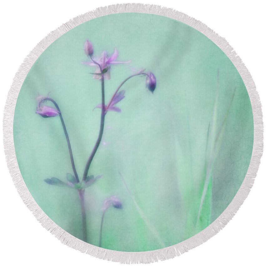 Columbine Round Beach Towel featuring the photograph And spring came by Priska Wettstein