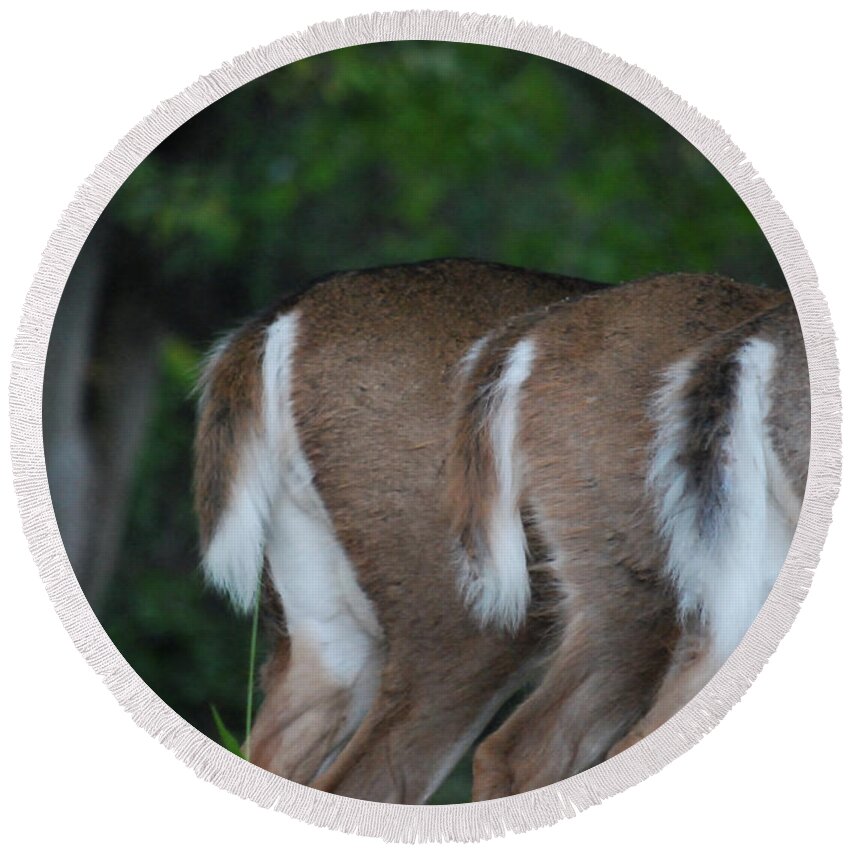 Deer Round Beach Towel featuring the photograph And The Butts Have It by Lori Tambakis