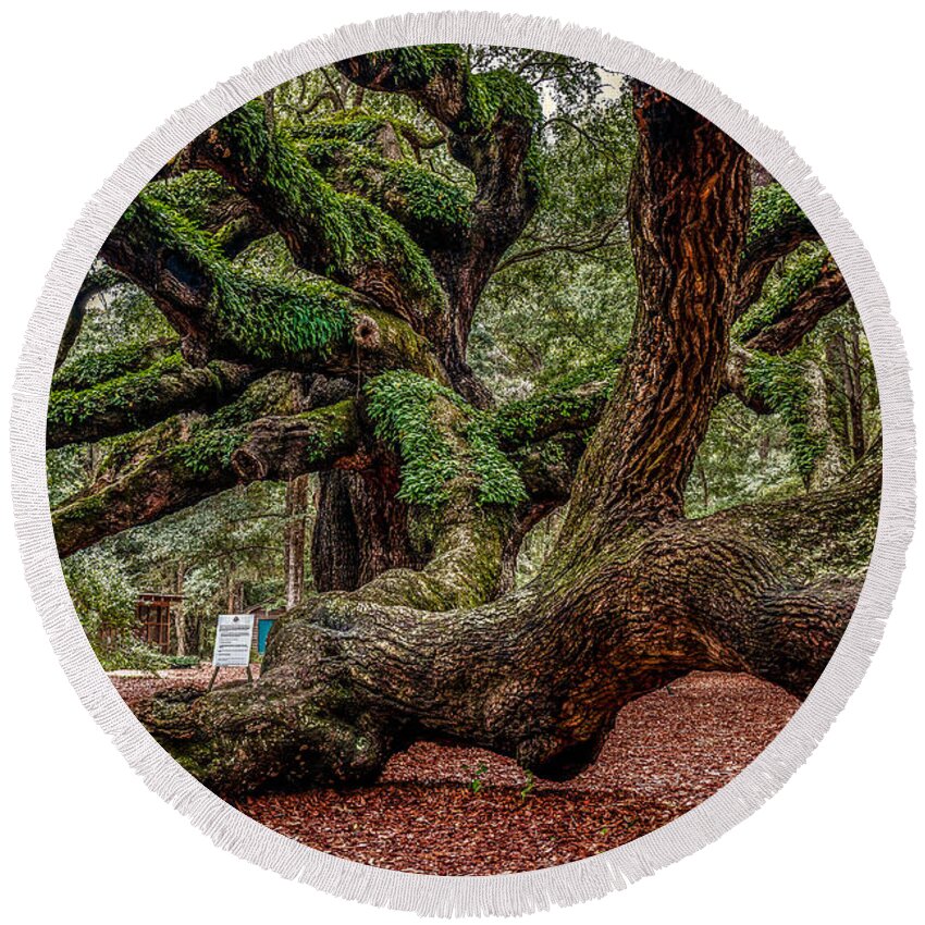 Charleston Round Beach Towel featuring the photograph Angel Oak by Doug Long